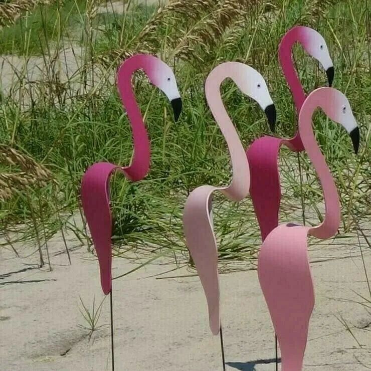 🐦 50% OFF Today | Florida Dancing Birds Metal Garden Art 🌿