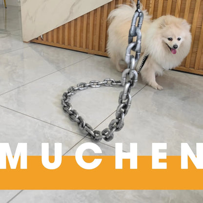 🐶The Chain Paws - 2026 Funniest Pet Chain🔒