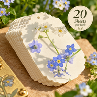 20 Sheets / Pack – Paper Only