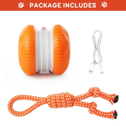 Pet Toy Wheels With Rope – Keep Your Pet Relaxed, Happy & Content for Cat🐱 & Dog🐶