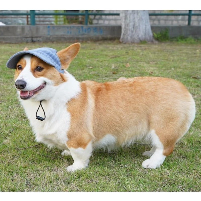 🐶🧢UV-Blocking Pet Baseball Hat – Stylish Sun Protection for Dogs ☀️✨