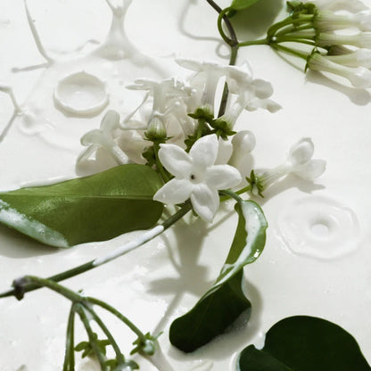 🔥LAST DAY PROMOTION SAVE 49%✨Vanilla & Cream Body Mist Duo 🌿