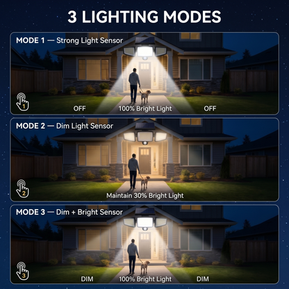 Outdoor Solar Powered Security Light