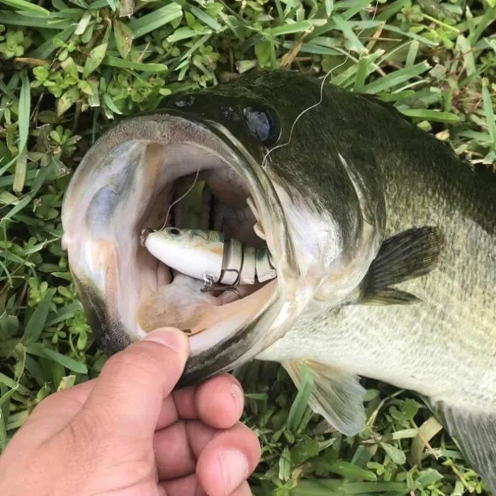 🔥HOT sales🔥Bionic Lure —Catch Big Fish Fast! 🎣