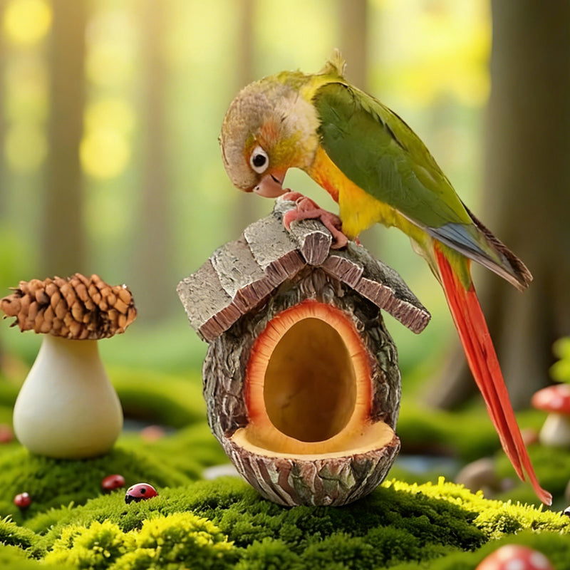 📢📢50% OFF !!!⏰Outdoor Bird Feeder for Garden Decoration