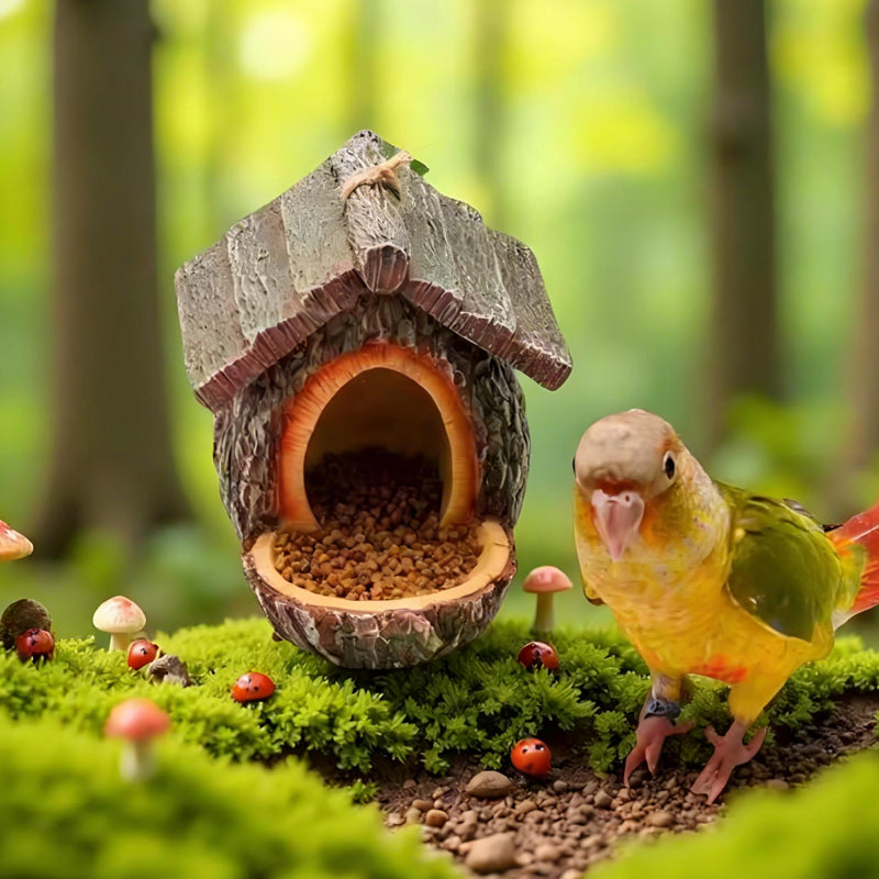 📢📢50% OFF !!!⏰Outdoor Bird Feeder for Garden Decoration