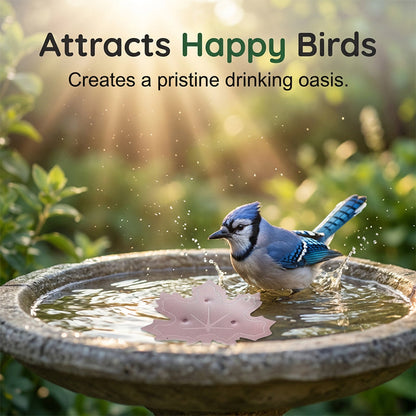 🍁2026 HOT SALE -Universal Fit Bird Bath Purifier